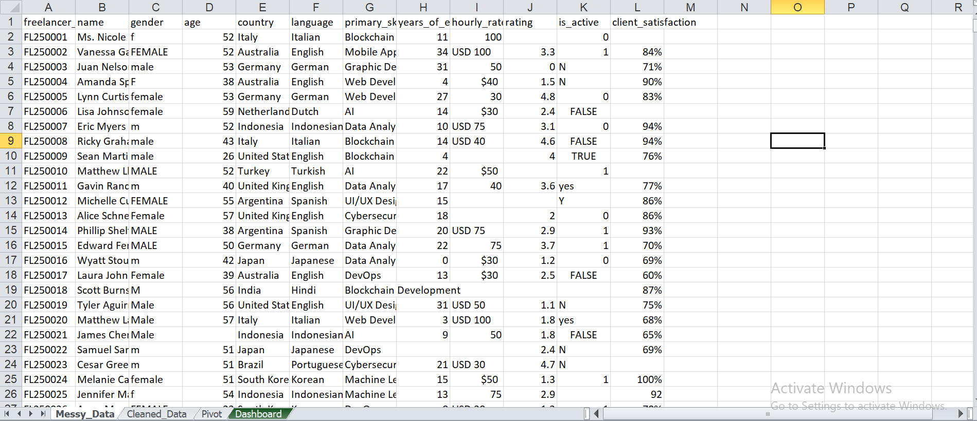 Excel Cleaning Screenshot